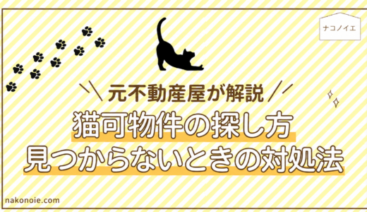 猫可物件の探し方｜見つからない理由と条件の見直し方を元不動産屋が解説