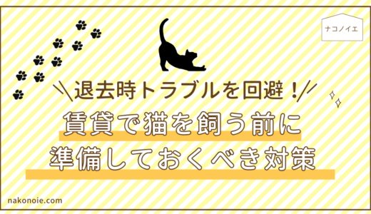 元不動産屋が本音で解説！猫可物件が少ない理由と後悔しない探し方３選