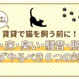 賃貸で猫を飼う前に必要な６つの対策