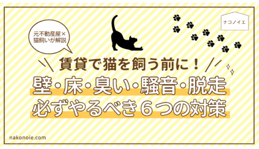 賃貸で猫を飼うときの対策６選｜壁・床・臭い・騒音・脱走を防ぐ