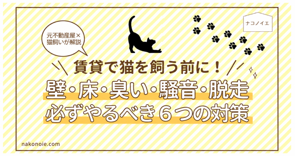 賃貸で猫を飼う前に必要な６つの対策