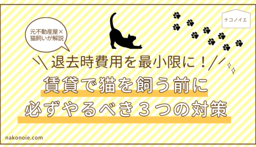 退去時費用を最小限に！賃貸で猫を飼う前に必ずやるべき３つの対策【元不動産屋×猫飼いが解説】