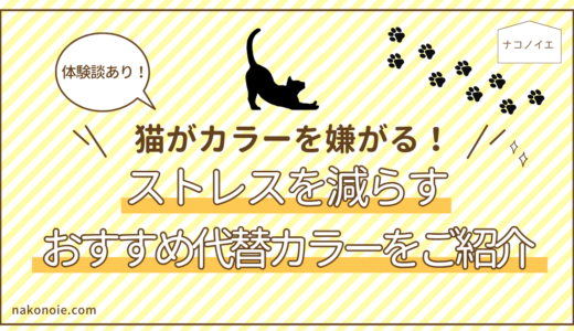 【体験談あり】猫が去勢手術後にエリザベスカラーを嫌がる！ストレスを減らすおすすめ代替カラーをご紹介