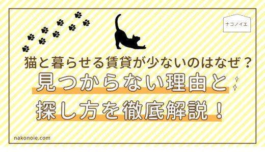 猫と暮らせる賃貸が少ないのはなぜ？見つからない理由と探し方を徹底解説
