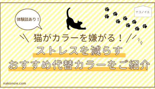 【体験談あり】猫が去勢手術後にエリザベスカラーを嫌がる！ストレスを減らすおすすめ代替カラーをご紹介