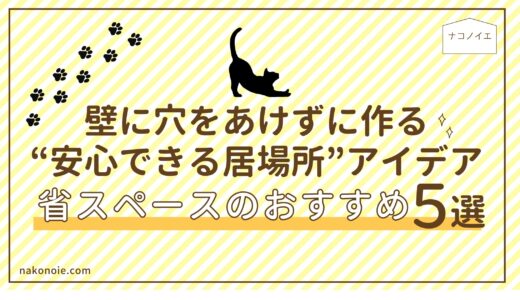 【賃貸×猫】壁に穴をあけずに作る“安心できる居場所”アイデア｜省スペースのおすすめ５選