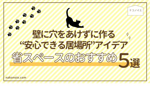 【賃貸×猫】壁に穴をあけずに作る“安心できる居場所”アイデア｜省スペースのおすすめ５選